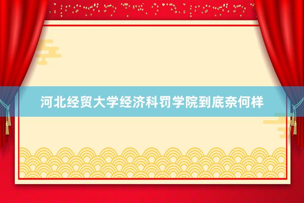 河北经贸大学经济科罚学院到底奈何样
