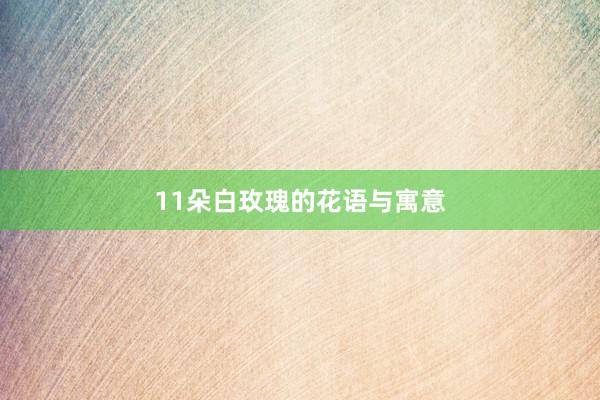 11朵白玫瑰的花语与寓意